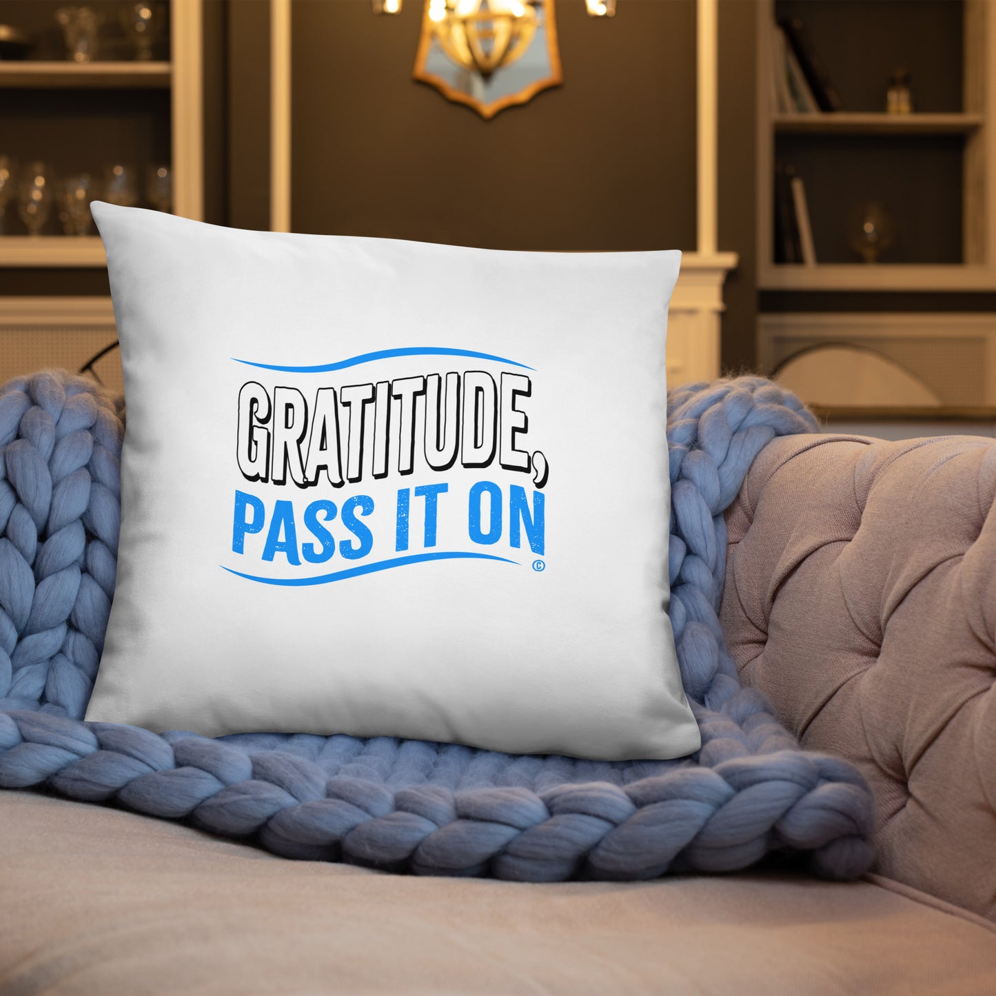 Gratitude, Pass it On Basic Pillows