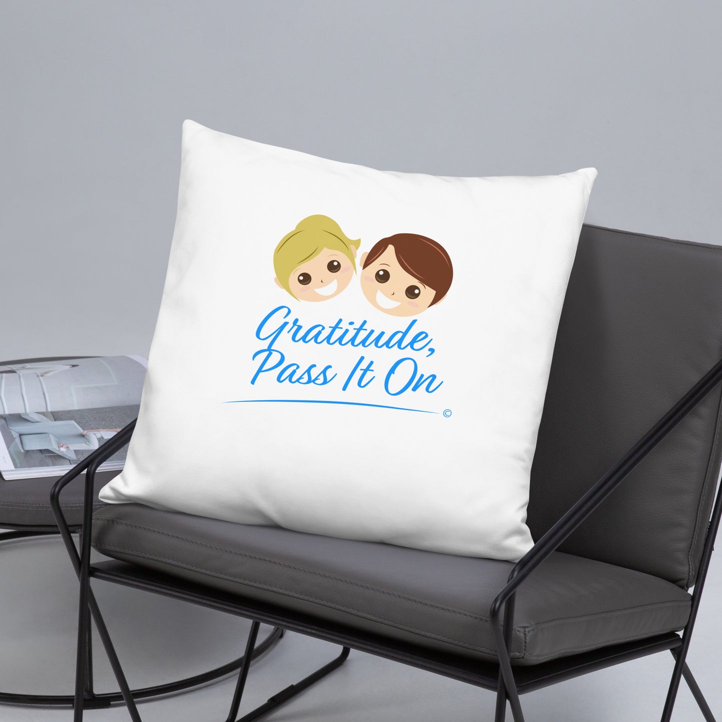 Gratitude, Pass it On Basic Pillows