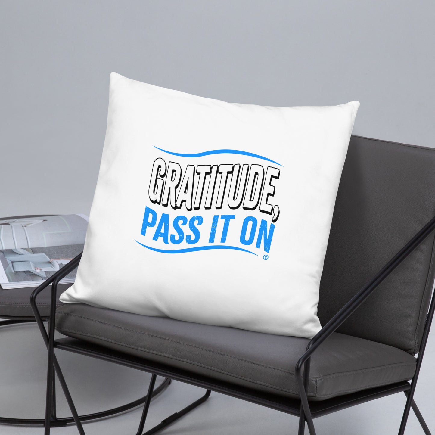 Gratitude, Pass it On Basic Pillows