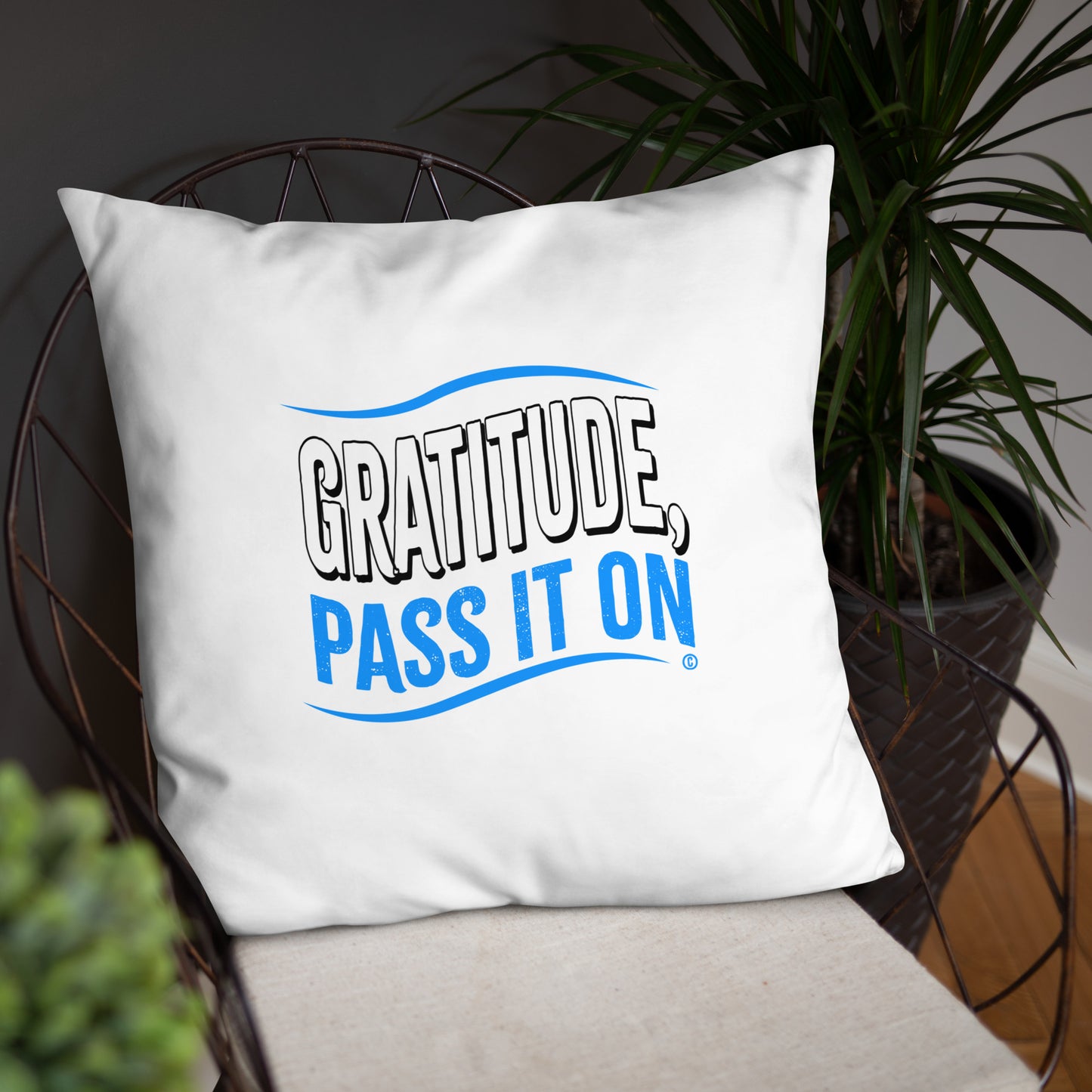Gratitude, Pass it On Basic Pillows