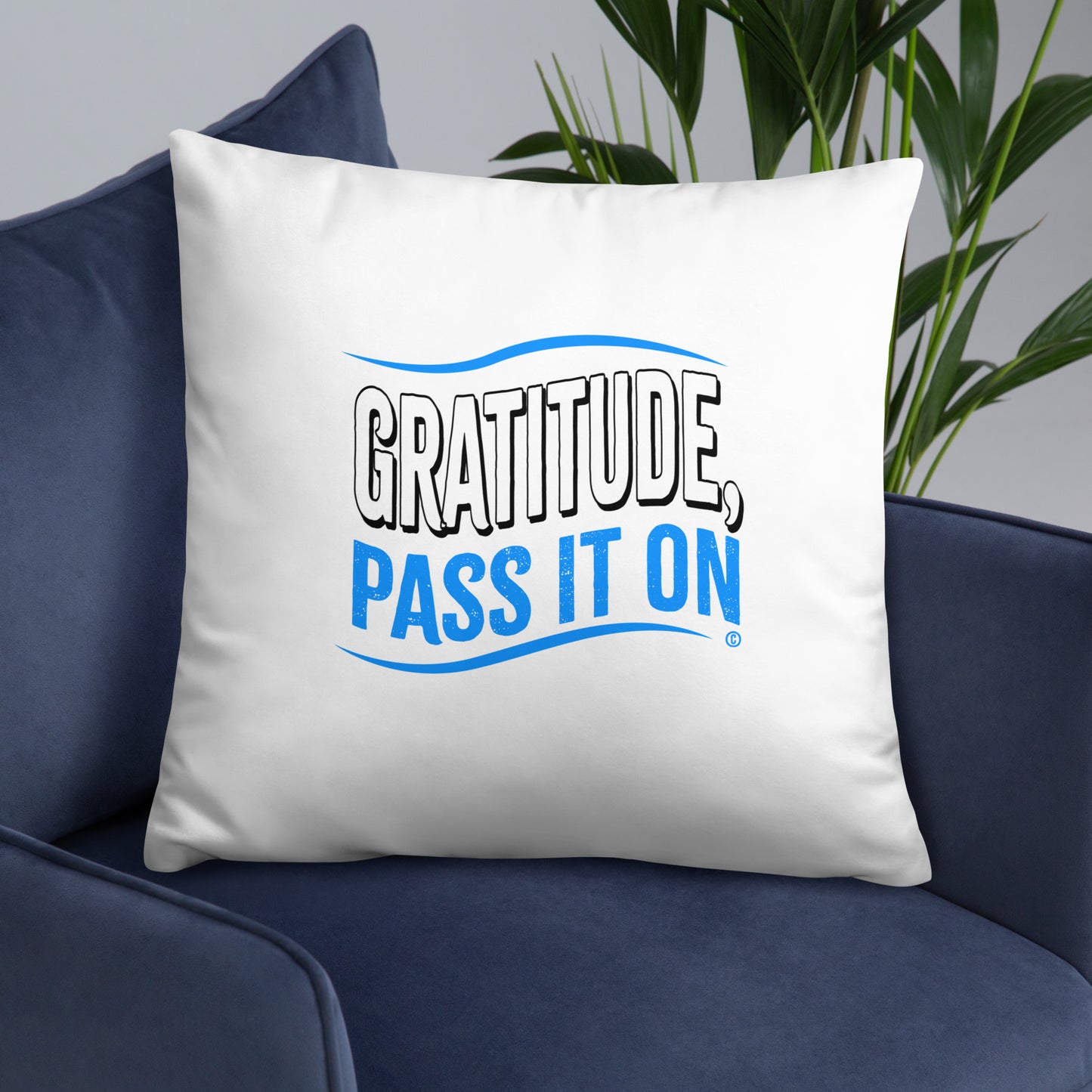 Gratitude, Pass it On Basic Pillows