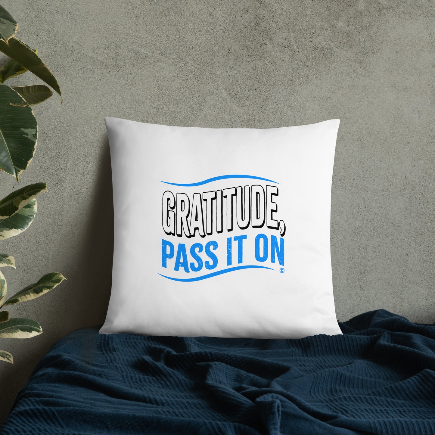 Gratitude, Pass it On Basic Pillows