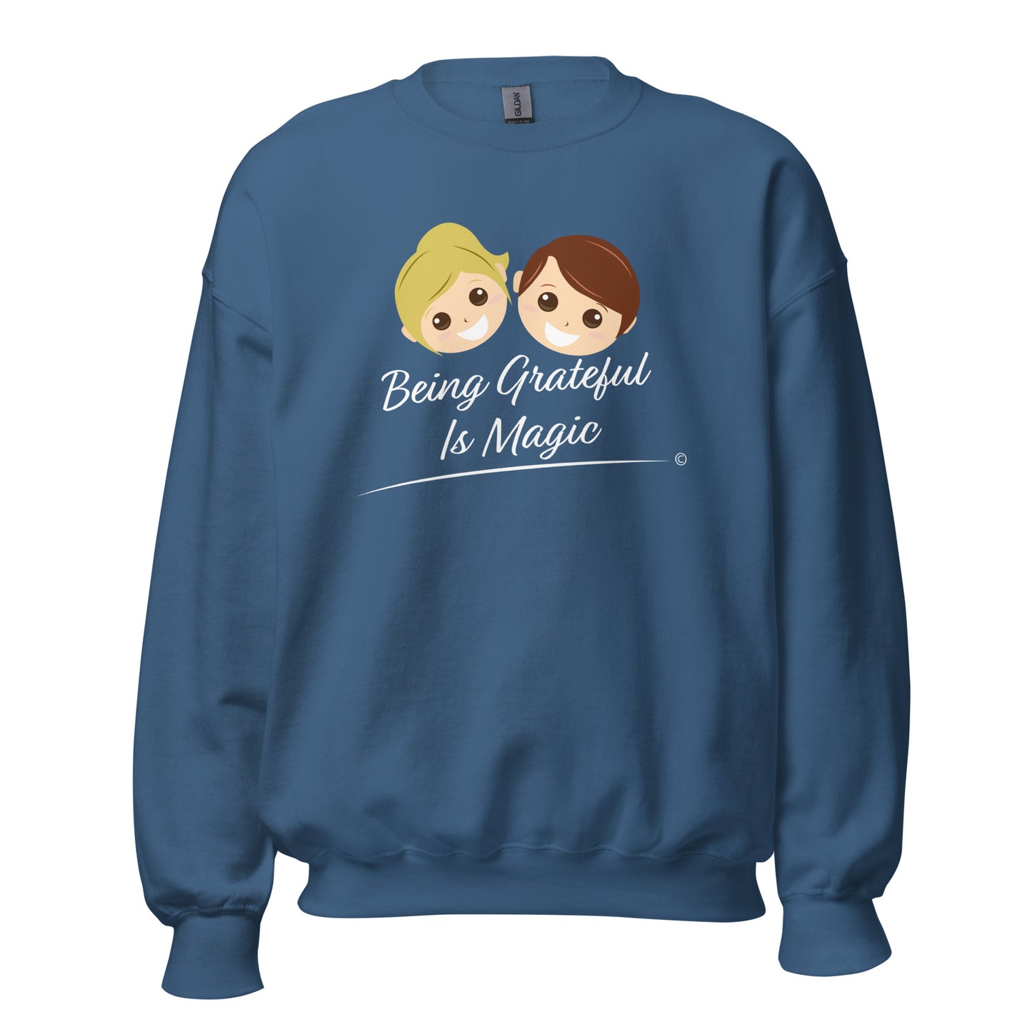 Lightweight cotton sweatshirts- Indigo Blue Sweatshirt