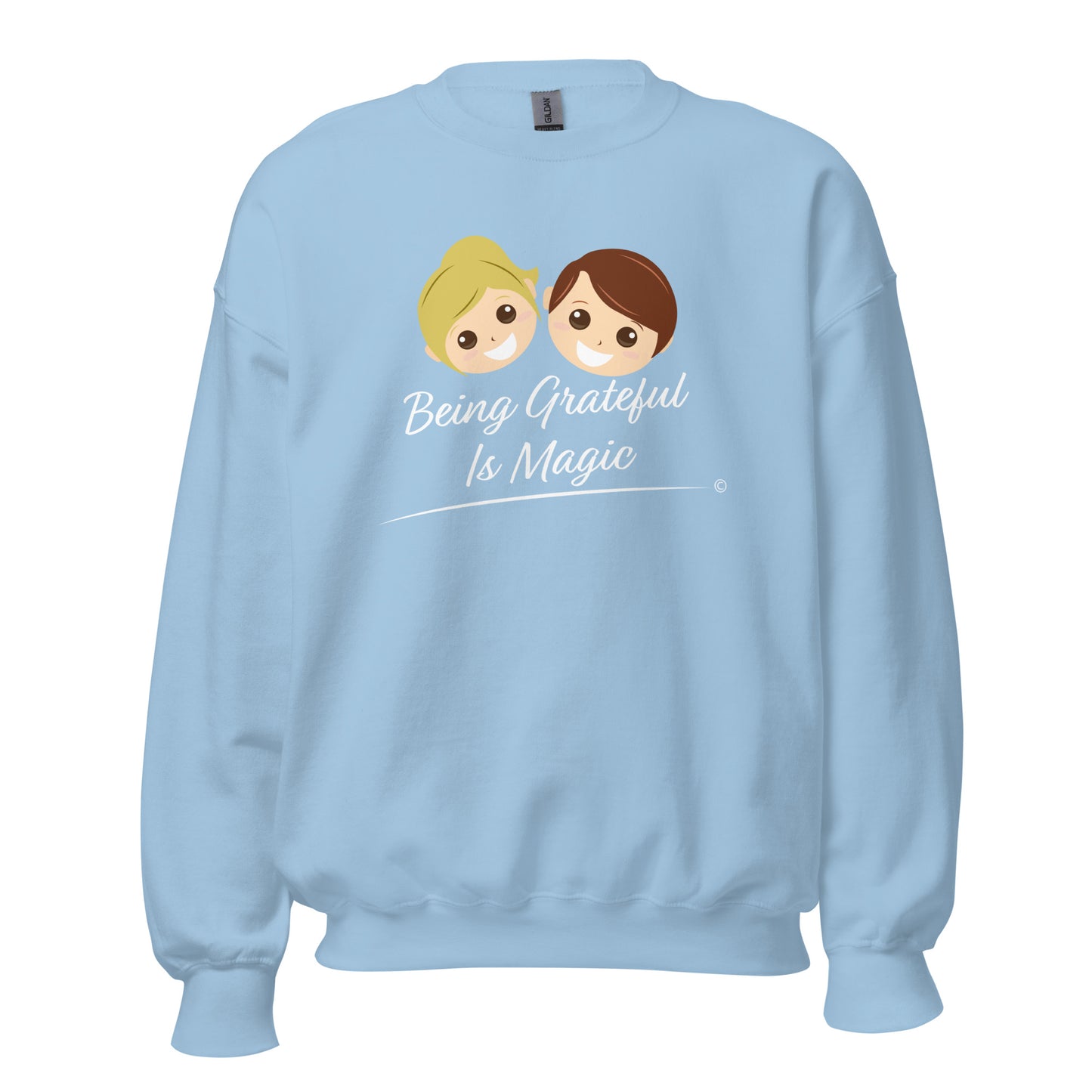 Lightweight cotton sweatshirts- Light Blue Pullover